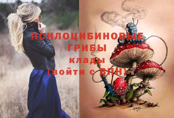 хмурый Балахна