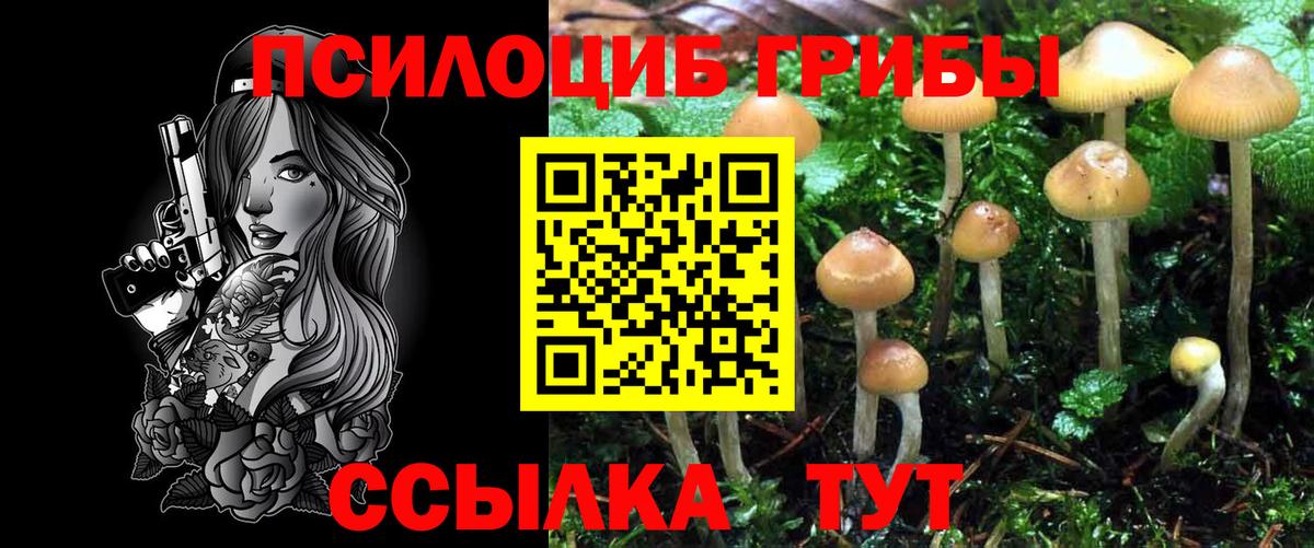 ГАШ Дальнегорск