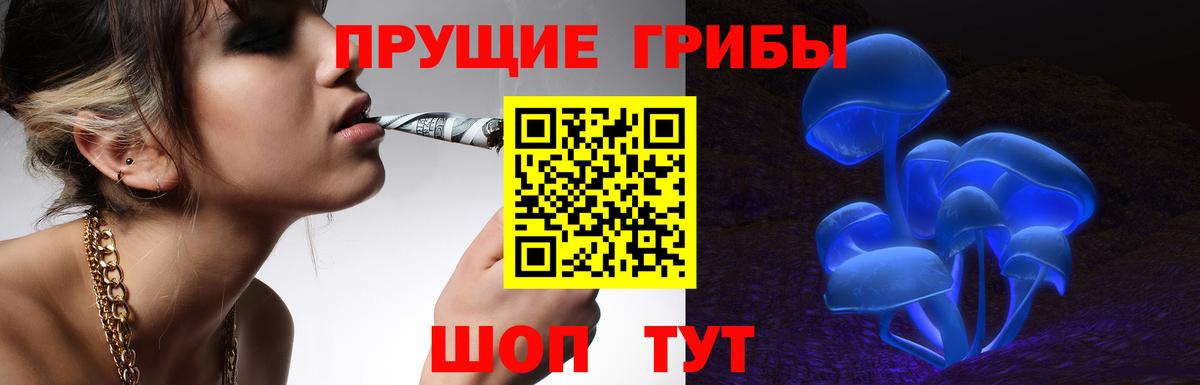 Дальнегорск  Галлюциногенные грибы GOLDEN TEACHER  Вход с VPN 