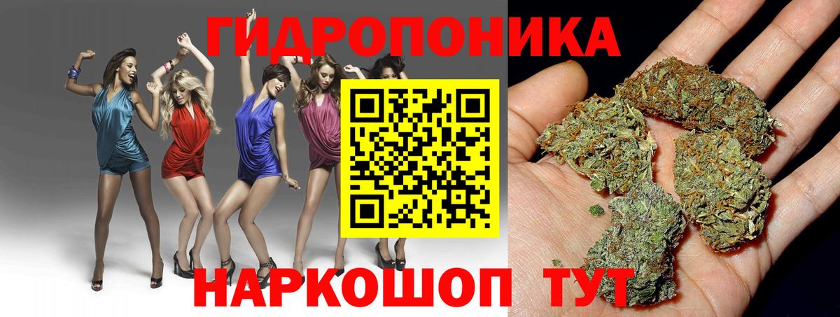 Каннабис SATIVA & INDICA Дальнегорск